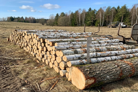 Birkenrundholz – Halbe LKW-Ladung 22,5 m³ (22,5 RM)